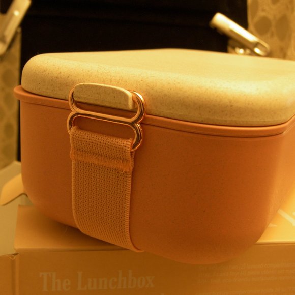 The Lunchbox - reusable Bento Box w/ HIP Reusable Food Tote - Picture 3 of 14